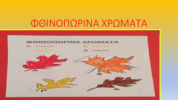 ΦΘΙΝΟΠΩΡΙΝΑ ΧΡΩΜΑΤΑ